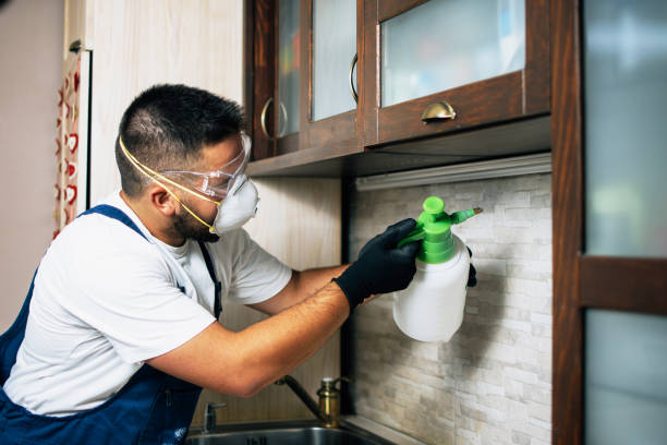 Best Pest Control Near Me in Big Lake, TX