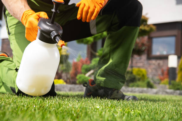 Pest Control Cost in Big Lake, TX