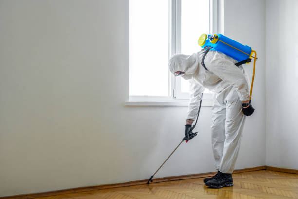 Best Pest Inspection Near Me  in Big Lake, TX