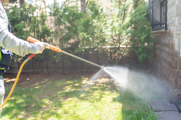 Best Spider Control Near Me  in Big Lake, TX