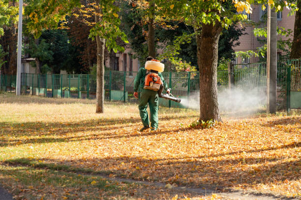 Best Local Pest Control Services  in Big Lake, TX