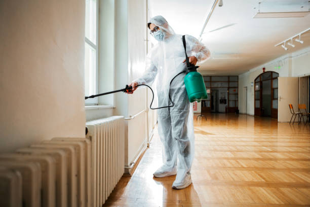 Best Affordable Pest Control Services  in Big Lake, TX